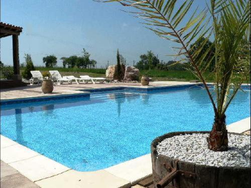 La Terrasse Villa Soreze Bagian luar foto